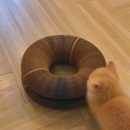 Mantiene a tu gatos entretenido y protege tus muebles - Juguete Kitty Kurlz